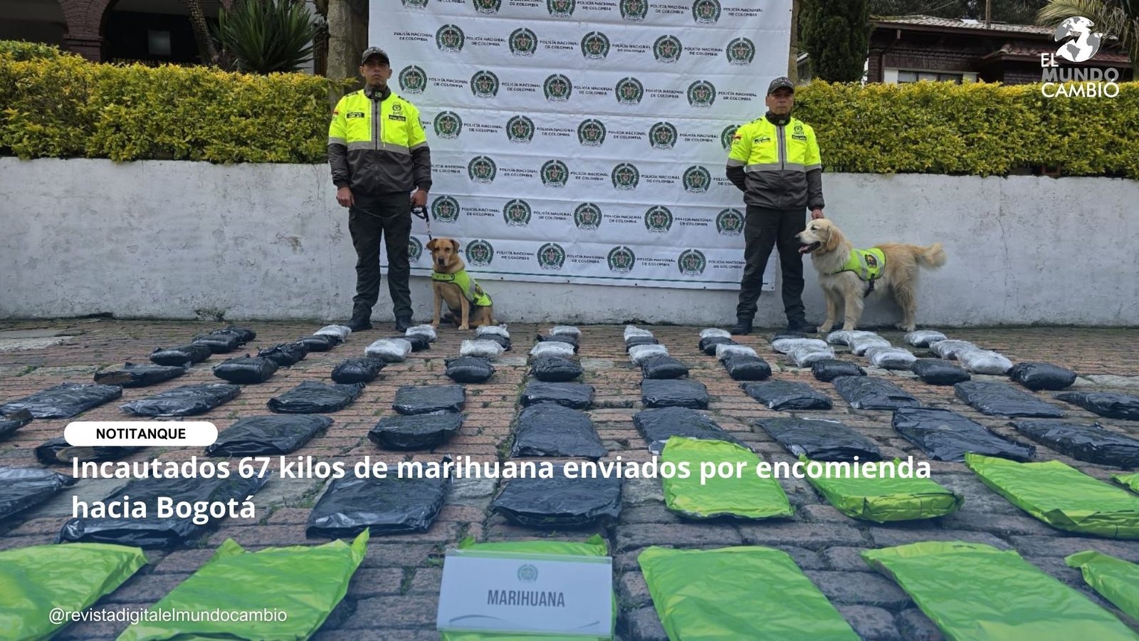 Incautados 67 kilos de marihuana enviados por encomienda hacia Bogotá