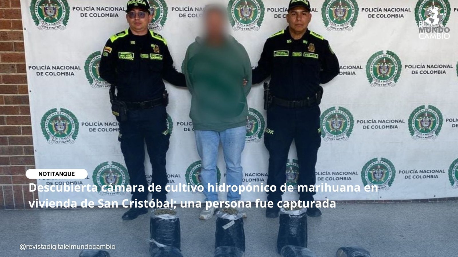 Descubierta cámara de cultivo hidropónico de marihuana en vivienda de San Cristóbal; una persona fue capturada