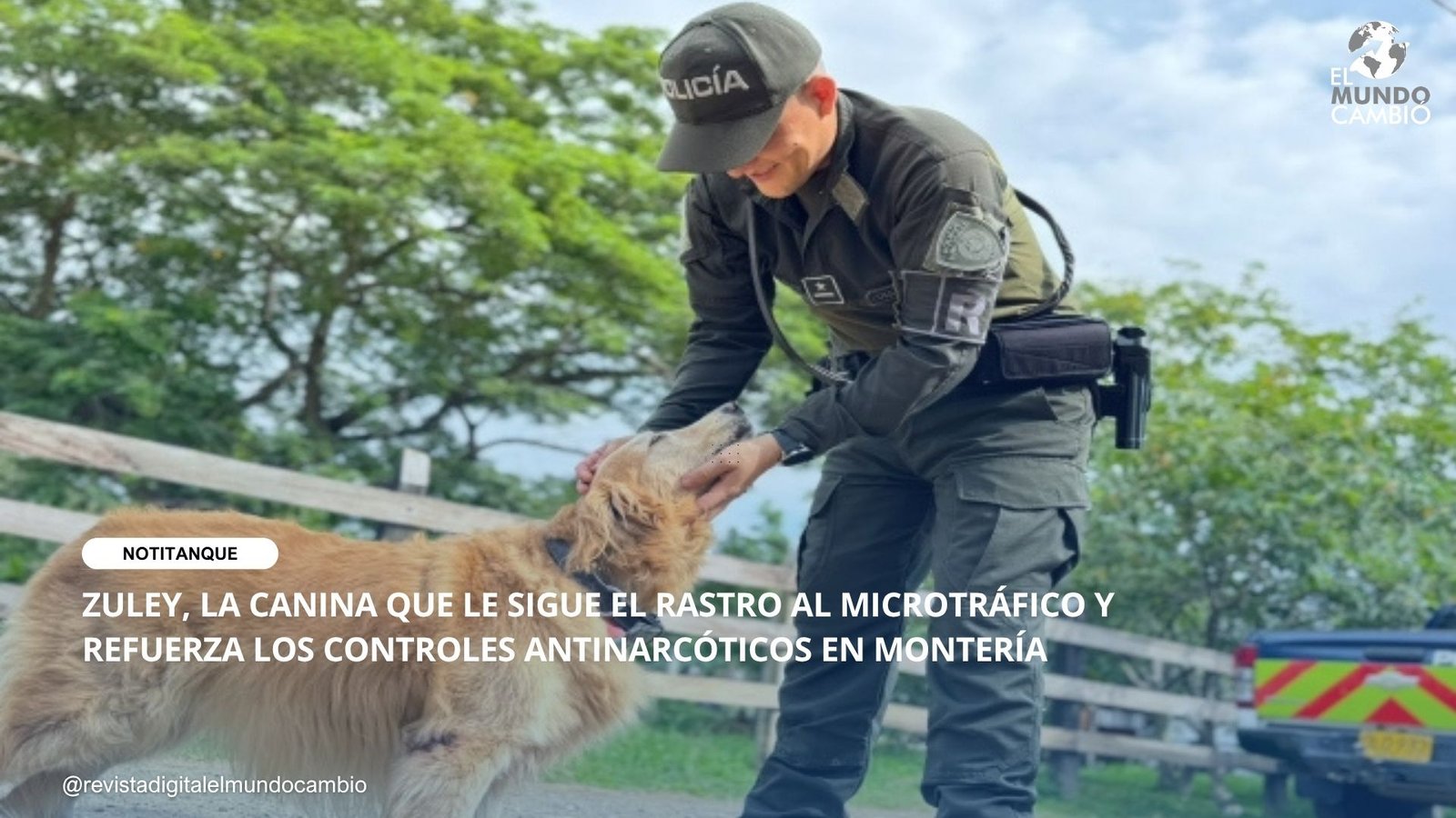 ZULEY, LA CANINA QUE LE SIGUE EL RASTRO AL MICROTRÁFICO Y REFUERZA LOS CONTROLES ANTINARCÓTICOS EN MONTERÍA
