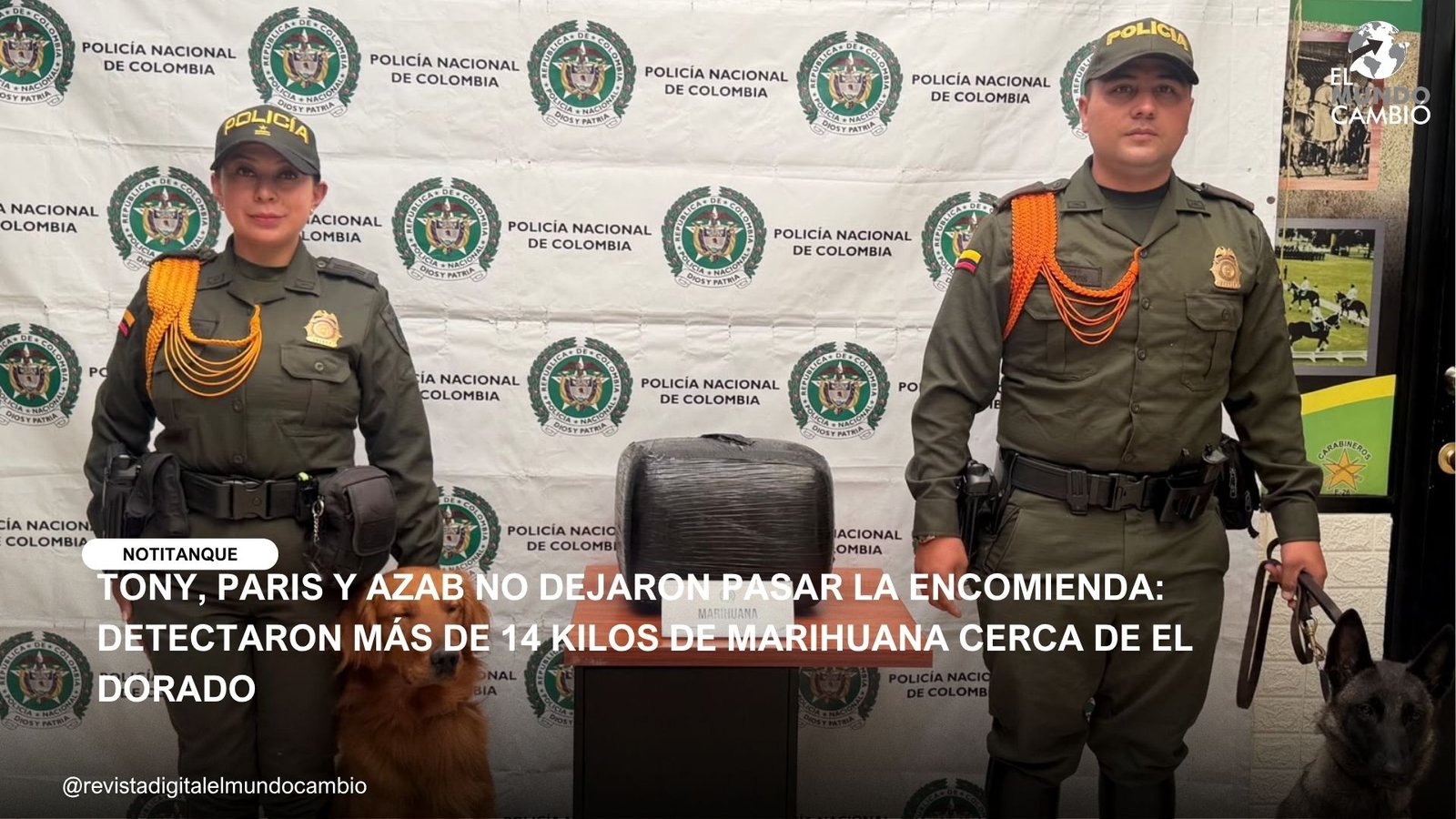 TONY, PARIS Y AZAB NO DEJARON PASAR LA ENCOMIENDA: DETECTARON MÁS DE 14 KILOS DE MARIHUANA CERCA DE EL DORADO
